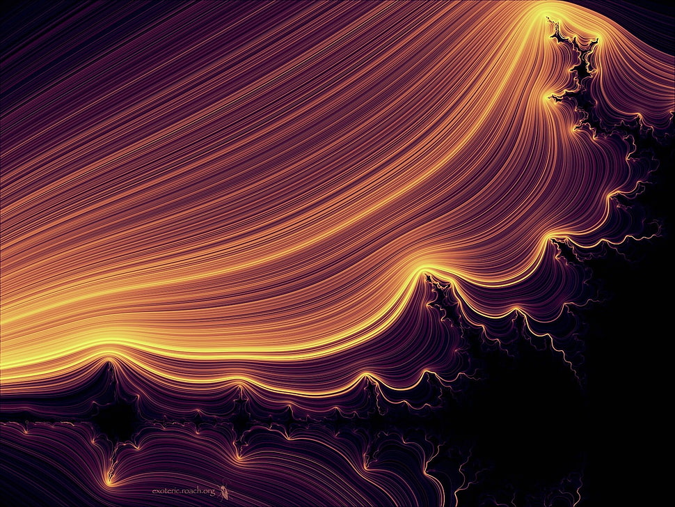 black and gold-colored wall paper HD wallpaper