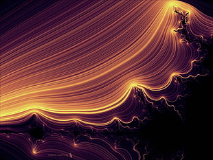black and gold-colored wall paper