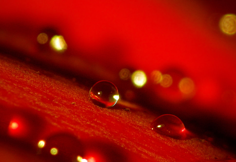 untitled, alpha, du, centaure HD wallpaper