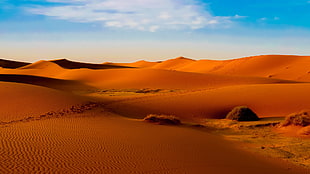 landscape photography of desert, desert, nature, landscape, dune HD wallpaper