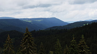 green mountain, landscape, forest, mountains, green
