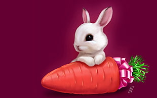 white rabbit holding red carrot illustration