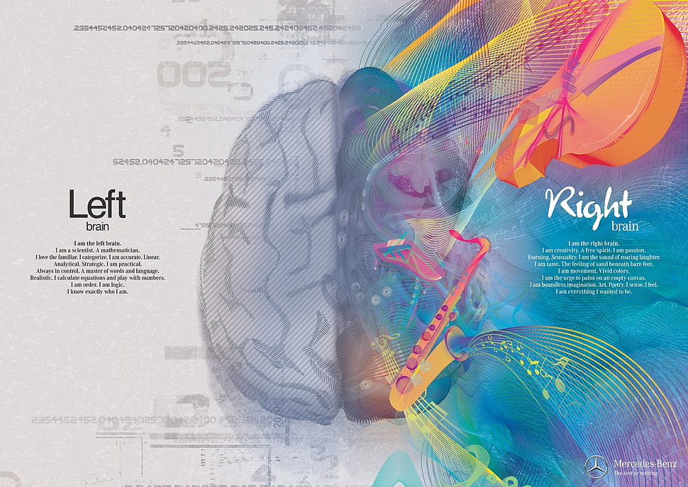 left and right brain illustration HD wallpaper
