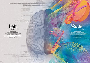 left and right brain illustration HD wallpaper