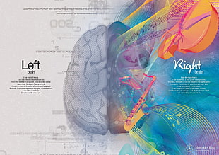 left and right brain illustration