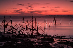 view of wooden stick and body of water HD wallpaper