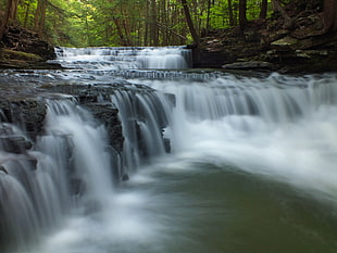 waterfalls between trees in time lapse photography HD wallpaper