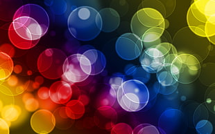 multicolored bokeh lights HD wallpaper
