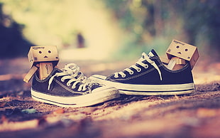 black Converse All-star with cardboard box toy HD wallpaper