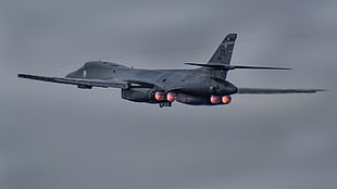 gray military aircraft, aircraft, military aircraft