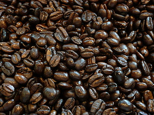 top view of coffee beans HD wallpaper