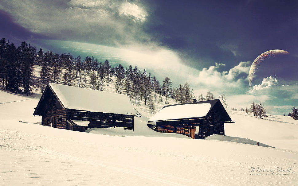 brown house covering snow near trees during daytime HD wallpaper