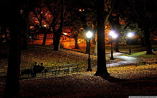 black steel bench, night, park, lantern
