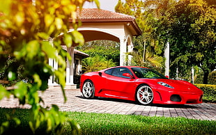 red coupe, Ferrari, car, red cars, vehicle HD wallpaper