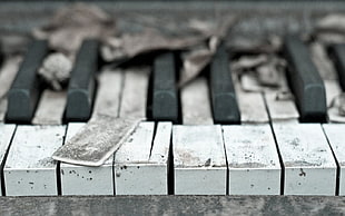 piano keys, wood, piano, abandoned, broken