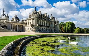 white castle, castle, pond, birds, France