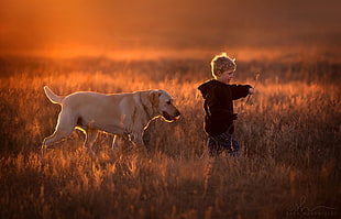 white dog and boy walking on grass