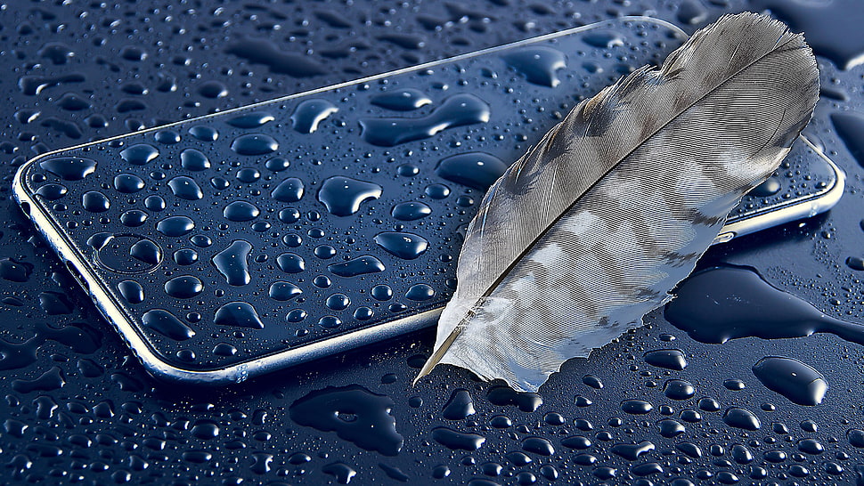 space gray iPhone 6, iPhone, feathers HD wallpaper
