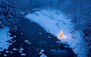 body of water, river, Christmas, trees, snow HD wallpaper