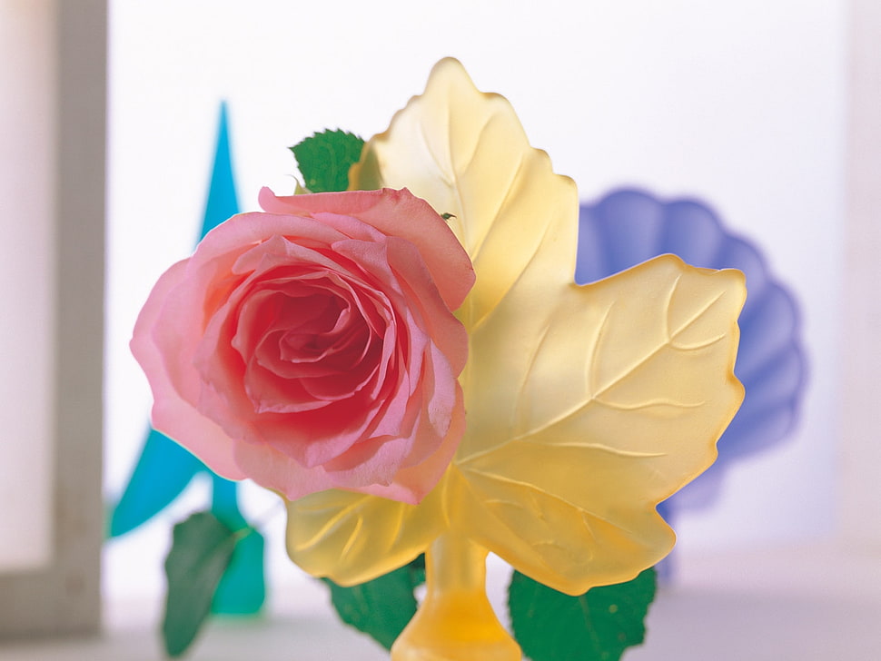 red and yellow plastic petaled flower HD wallpaper