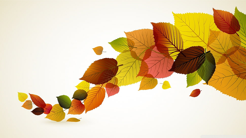 red and multicolored leaf illustration HD wallpaper