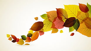 red and multicolored leaf illustration