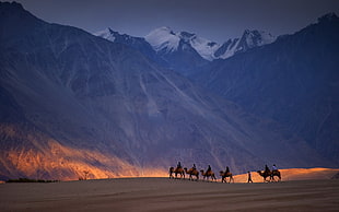 march of camels wallpaper, nature, landscape, sky, rock HD wallpaper