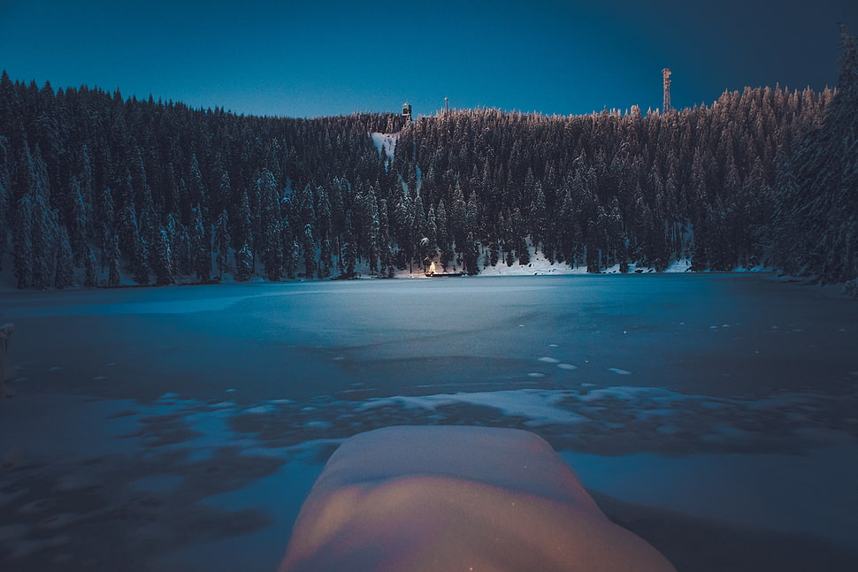 frozen lake and forest during daytime HD wallpaper
