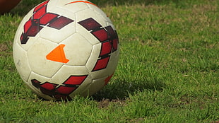 red, white, and black soccer ball, soccer, balls, soccer ball HD wallpaper