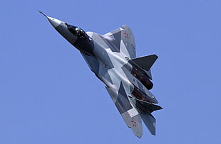 white and gray jet plane, Sukhoi PAK FA, Russian Air Force, airplane