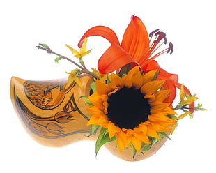sunflower on brown wooden shoe