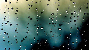 water droplets, rain, water on glass, water drops