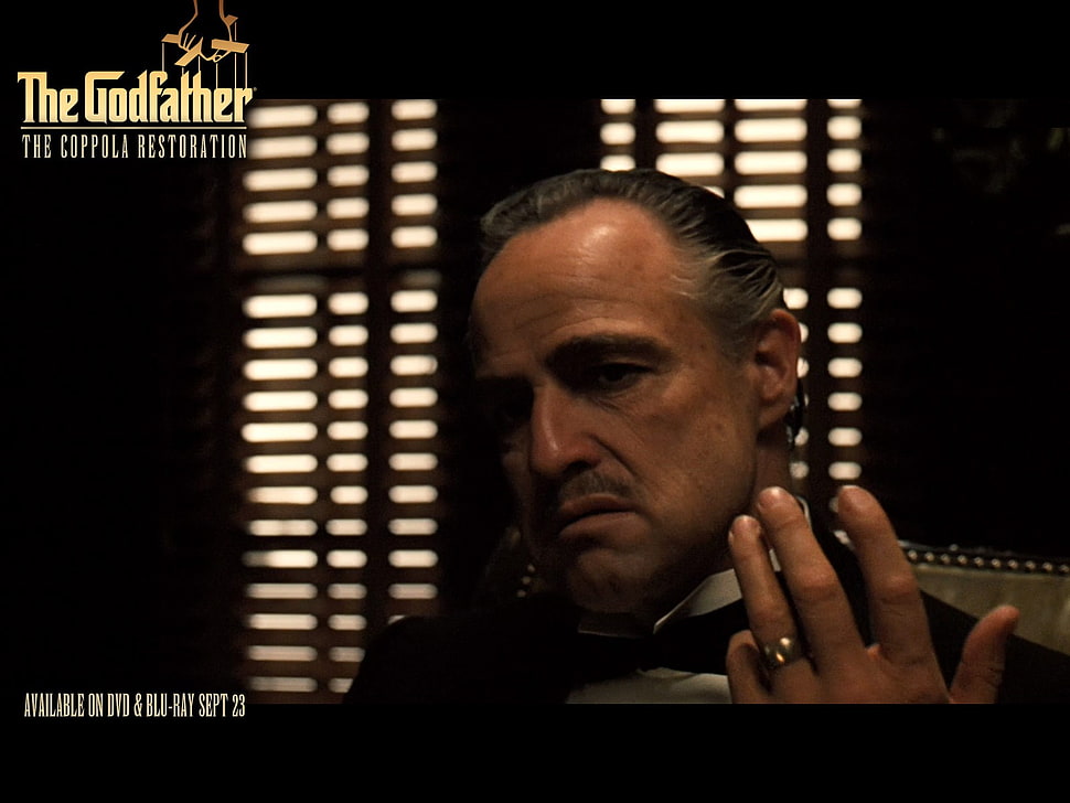 The Godfather movie scene, The Godfather, movies, Marlon Brando, Vito Corleone HD wallpaper