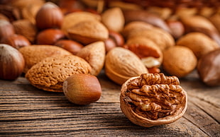 selective focus photography of walnut and other nuts