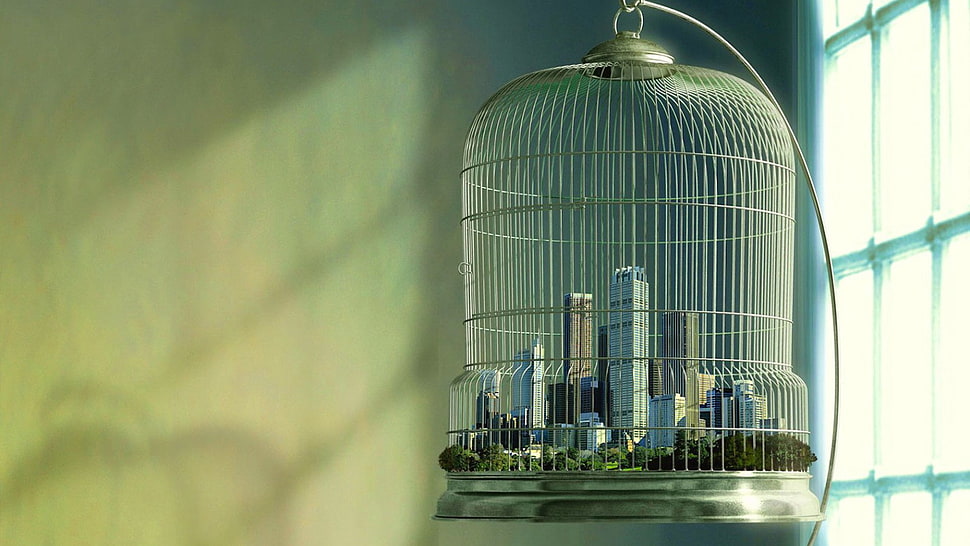 green and white bird cage, cages, cityscape, window, digital art HD wallpaper