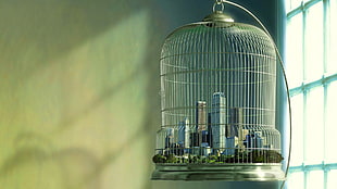 green and white bird cage, cages, cityscape, window, digital art