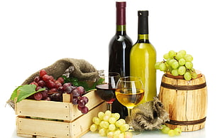 variety of grapes and wine bottles photo