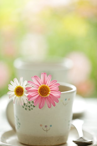 selective focus photography of pink and white petaled flowers in white cup
