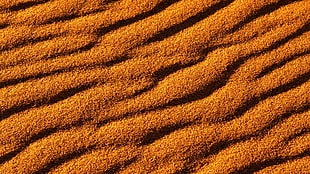 brown corduroy HD wallpaper