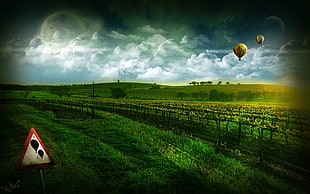 green and white floral textile, digital art, hot air balloons, sign, space art HD wallpaper