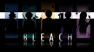 Bleach Anime