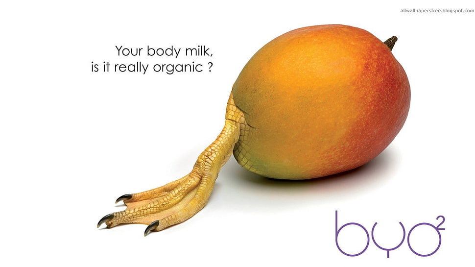 ripe mango, artwork, fruit HD wallpaper