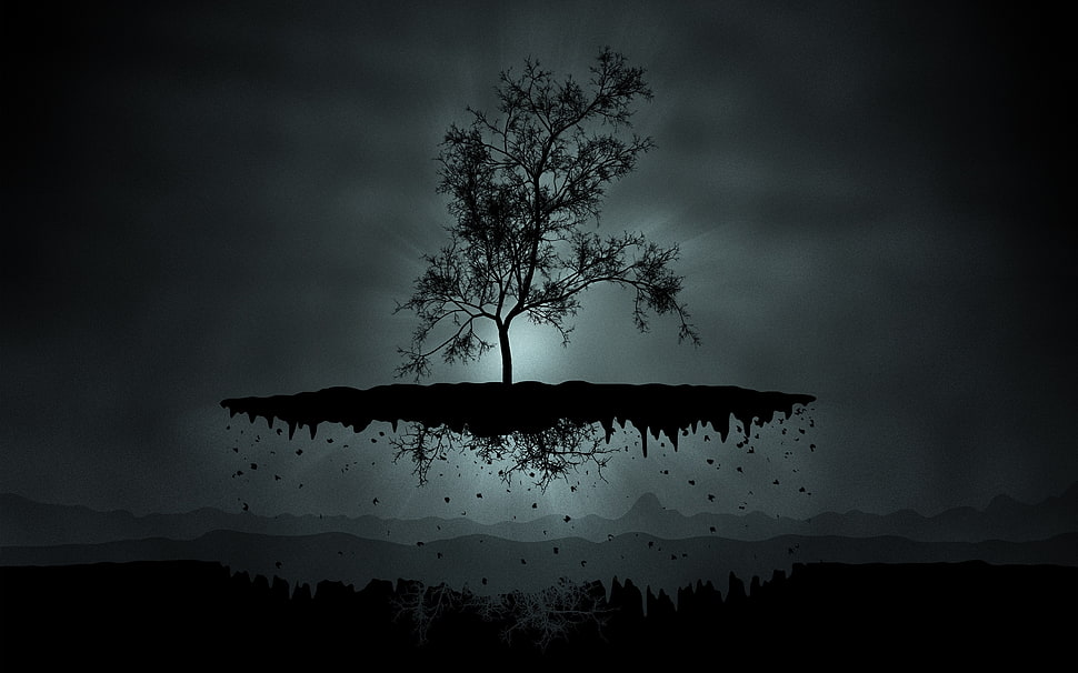 time lapse photo of tree floating HD wallpaper