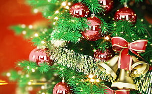 closeup photo of a Christmas tree with baubles