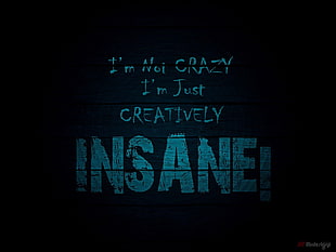 black and gray Insane!-printed board, quote, humor, blue, typography