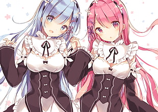 two pink and blue haired anime characters