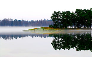 calm water of lake with pine trees as background