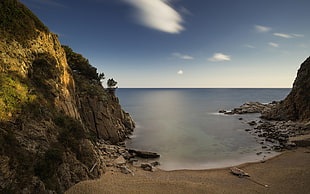 brown rock, landscape, water, beach, sea HD wallpaper