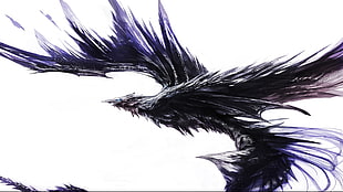 black bird illustration, fantasy art, dragon