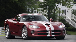 red sport car, car, Dodge, Dodge Viper, red cars HD wallpaper
